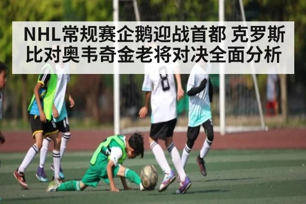 NHL常规赛企鹅迎战首都 克罗斯比对奥韦奇金老将对决全面分析
